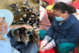 Đời sống Showbiz - Sao bỏ phố về rừng: Nuôi mười mấy con heo, dậy từ 4h sáng làm việc