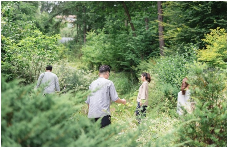 Nhiều khu nghỉ dưỡng dành cho những người muốn thoát khỏi Internet, chữa lành tâm hồn mình.