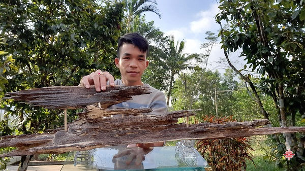 Phạm Duy Khanh luôn đem trầm hương thiên nhiên giá gốc đến với người tiêu dùng.