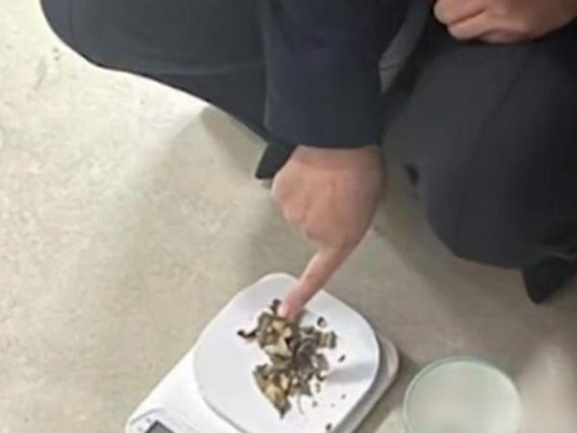 Phi thường - kỳ quặc - Đang ăn lẩu thì bị cảnh sát ập vào bắt giữ, cô gái ngỡ ngàng tột độ khi biết nguyên nhân