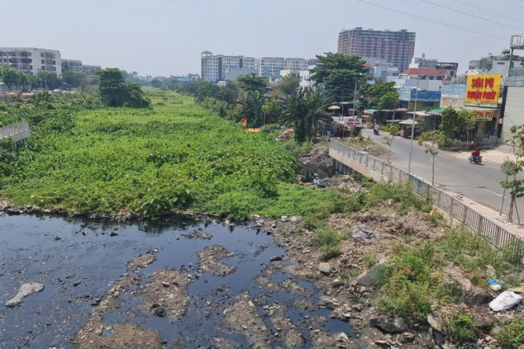 Dòng nước đen kịt, rác và cây cỏ bủa vây con kênh đoạn qua quận Bình Tân. Ảnh: NGUYỄN CHÂU