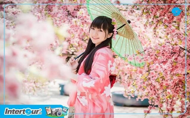 Khung cảnh Nhật Bản mùa hoa anh đào thơ mộng