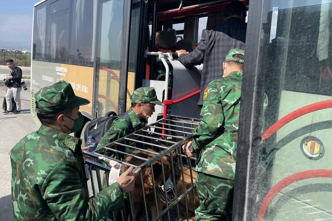Chiều nay, 76 quân nhân Việt Nam sang giúp Thổ Nhĩ Kỳ về tới Nội Bài - 4