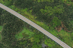 Tin tức trong ngày - Toàn cảnh khu rừng xanh 128ha ngay cạnh trung tâm TP.HCM