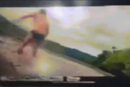 Thế giới - Úc: Cá sấu 4,2 mét từ dưới sông lao lên đớp người, cắn chết chó