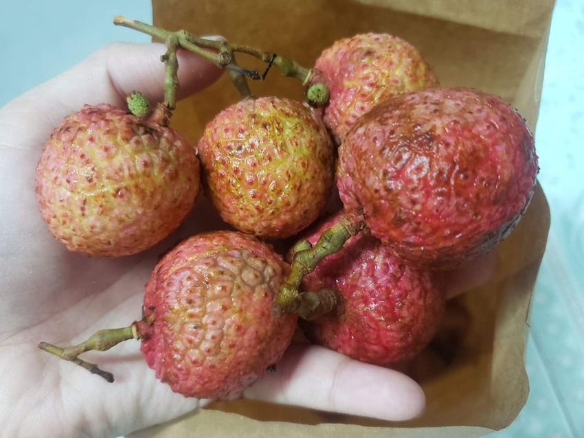 Một số trái cây khi chín như vải có thể phát sinh nồng độ cồn trong hơi thở. Ảnh: Hạ Quyên