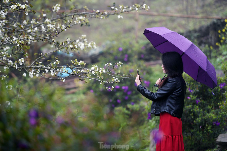 Lạc bước giữa vườn hoa lê đẹp như cổ tích ở Na Hang, Tuyên Quang - 11