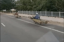 Xe máy - Xe đạp - Clip: Hoang mang với "người vận chuyển" phiên bản đường phố Việt Nam