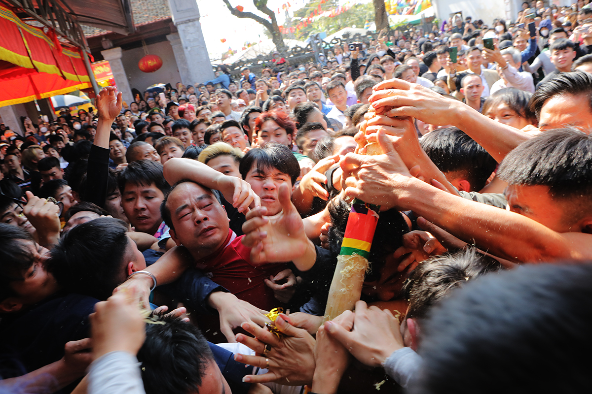 Sau khi ổn định đám đông, BTC tung bông tre từ trong đình ra bên ngoài. Hàng trăm thanh niên lao vào cướp, giằng nhau cây bông may mắn tạo nên cảnh hỗn loạn trước sân đình.