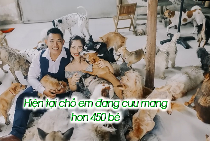 Cặp đôi quyết không sinh con để chăm lo cho hơn 450 con chó, mèo - 1