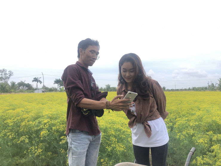 CLIP: Ngất ngây trước vẻ đẹp của cánh đồng hoa thì là tại Bạc Liêu - 11