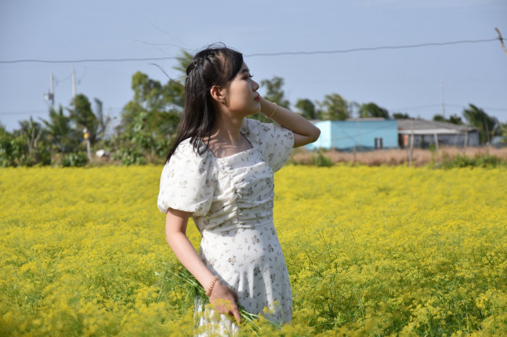 CLIP: Ngất ngây trước vẻ đẹp của cánh đồng hoa thì là tại Bạc Liêu - 13