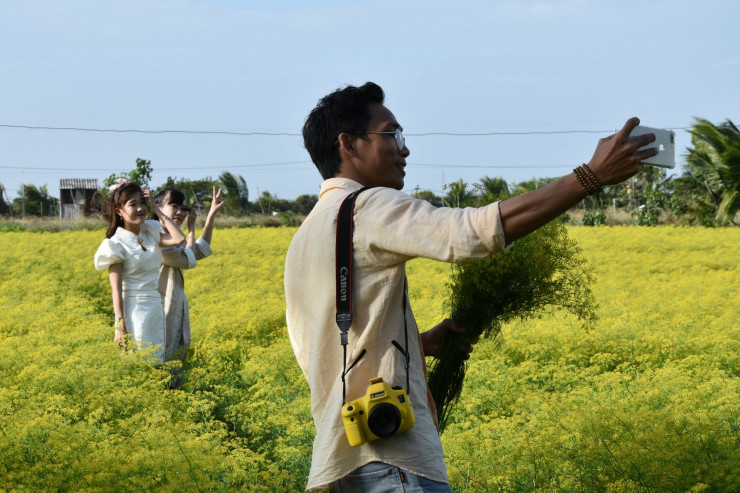 CLIP: Ngất ngây trước vẻ đẹp của cánh đồng hoa thì là tại Bạc Liêu - 16