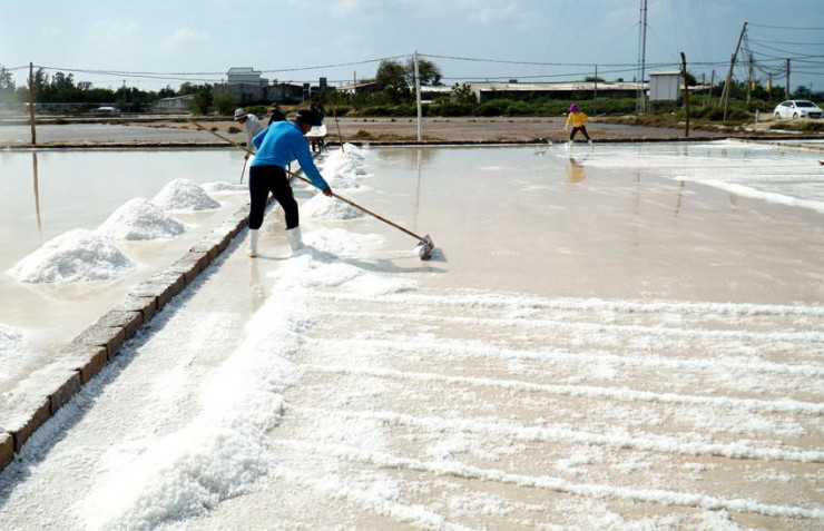 Theo nhiều người làm muối ở Ninh Thuận, giá muối bắt đầu tăng cao từ trước Tết Nguyên đán năm 2023. Có thời điểm, giá muối nền đất lên đến 2,6 triệu đồng/ tấn, giá muối trải bạt khoảng 2,7 triệu đồng/ tấn.