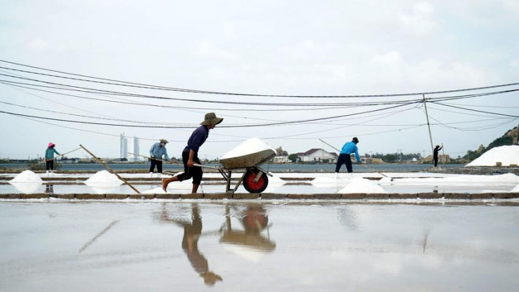 Theo nhiều người làm muối ở Ninh Thuận, giá muối năm nay đạt mức lịch sử từ trước đến nay. Nguyên nhân giá muối tăng cao do năm 2022 diêm dân mất mùa vì thời tiết mưa nhiều. "Hiện giá muối đang có dấu hiệu hạ nhiệt"- một người làm muối nói.