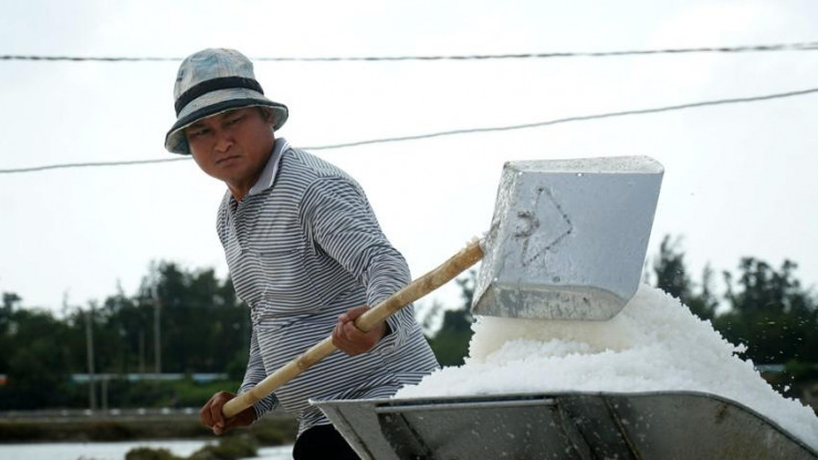 Sản lượng muối đến năm 2030 của tỉnh Ninh Thuận đạt 650.000 tấn, trong đó 550.000 tấn muối công nghiệp.