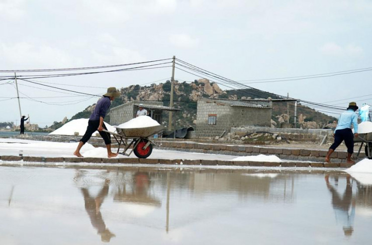 Theo Sở NN&PTNT tỉnh Ninh Thuận, tỉnh này đang tập trung phát triển kinh doanh, chế biến muối với các sản phẩm muối tinh, muối tinh sấy khô, muối Iốt. Hiện trên địa bàn Ninh Thuận có sáu doanh nghiệp chế biến và bốn doanh nghiệp kinh doanh với công suất khoảng 200.000 tấn/năm.