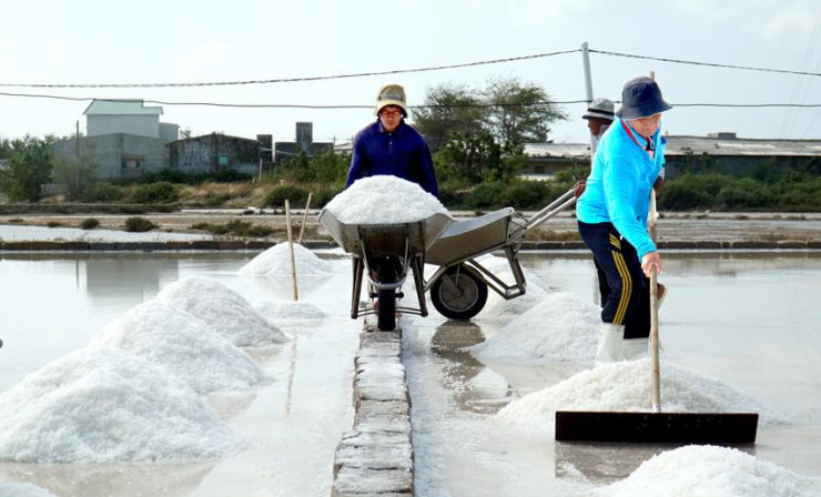 Theo ông Đặng Hồng (ngụ xã Tri Hải), giá muối cao đem lại lợi nhuận lớn cho người làm muối. "Chúng tôi rất phấn khởi vì giá muối cao, người dân có lãi và có thêm động lực để gắn bó với nghề truyền thống này"- ông Hồng chia sẻ.