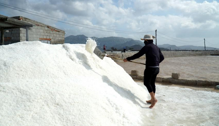 Tỉnh Ninh Thuận cũng đang định hướng thành lập các hợp tác xã, hiệp hội nghề muối để liên kết bao tiêu sản phẩm. Qua đó, giúp diêm dân ổn định sản xuất, tăng thu nhập.