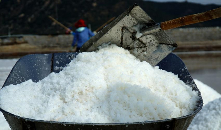 Lãnh đạo Sở NN&PTNT tỉnh Ninh Thuận cho biết các doanh nghiệp trên địa bàn đã đầu tư trang thiết bị chế biến muối đáp ứng cho nhu cầu của ngành công nghiệp hóa chất, nguyên liệu chế biến muối tinh cao cấp.