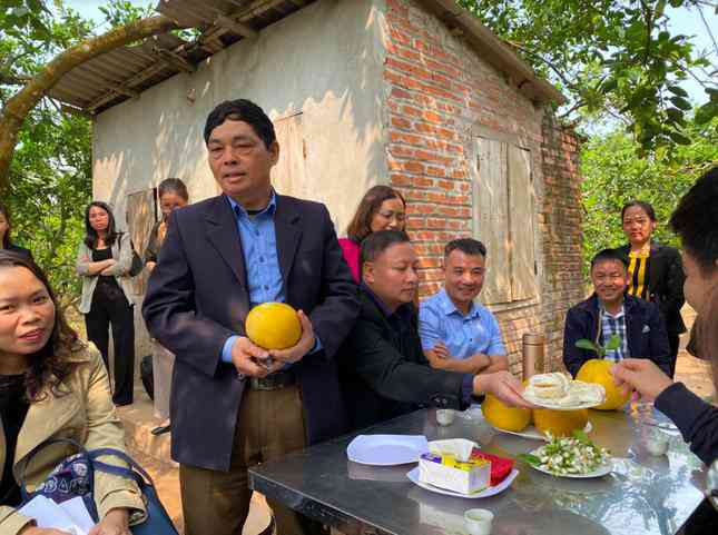 Ông Nguyễn Như Hảo - Chủ tịch Hội Sản xuất và kinh doanh bưởi Cát Quế, giới thiệu về bưởi Diễn. (Ảnh: Thu Loan)
