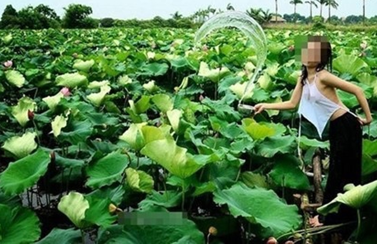 Trong trường hợp này, vẻ đẹp của người phụ nữ sẽ bị làm cho méo mó một cách trần trụi. 