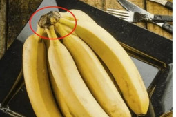 Ẩm thực - Chuối cong và chuối thẳng có sự khác biệt rất lớn, lưu ý 3 điểm để chọn loại ngon ngọt