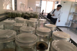 Tin tức trong ngày - Một giám đốc sở Quảng Ngãi bị tố cáo 8 nội dung