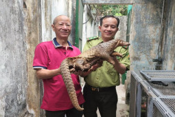 Tin tức trong ngày - Tin tức 24h qua: Người dân bắt được động vật quý hiếm trên mái nhà