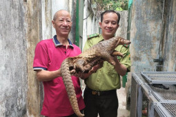 Tin tức trong ngày - Tin tức 24h qua: Người dân bắt được động vật quý hiếm trên mái nhà