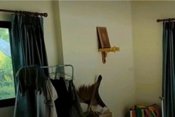 Phi thường - kỳ quặc - Chủ nhà thất kinh khi hổ mang chúa "khủng" mò vào nhà, leo lên bàn thờ