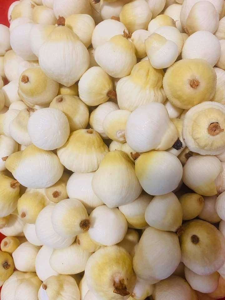 Mộng dừa đang được rao bán giá lên đến gần 200.000 đồng/kg.