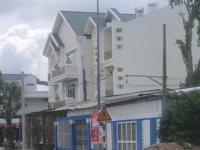 Tin tức trong ngày - Chưa rõ nguyên nhân 3 cây xà cừ cổ thụ ở TP Bạc Liêu bị 'đột tử'