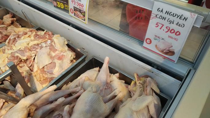 Thịt gà nhập khẩu giá rẻ gây khó cho chăn nuôi trong nước