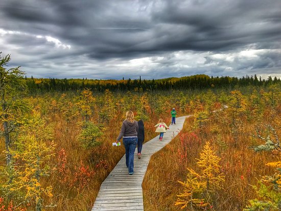 Những tọa độ cắm trại đẹp như trong cổ tích ở Canada - 2