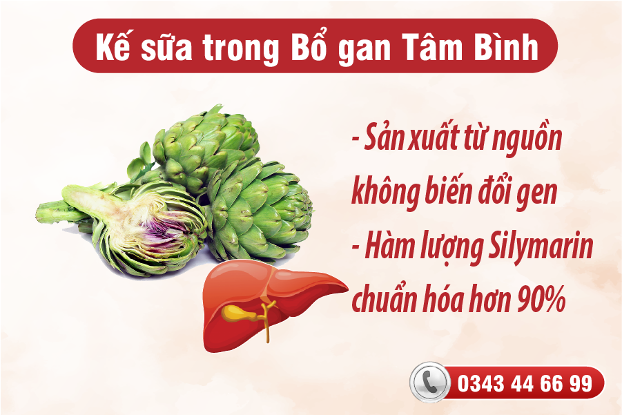 Bổ gan Tâm Bình – sự kết hợp độc đáo của bộ tứ tinh chất thảo dược - 1