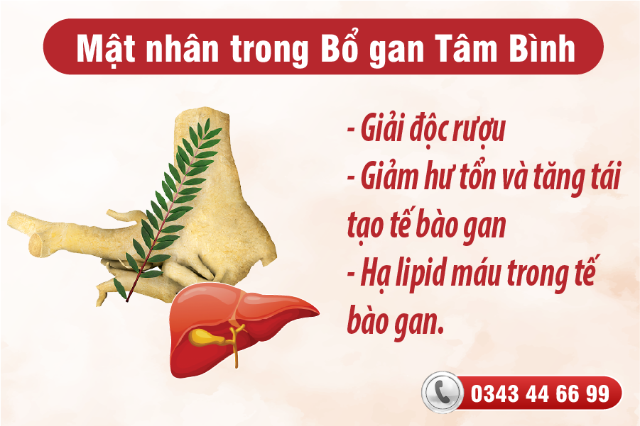 Bổ gan Tâm Bình – sự kết hợp độc đáo của bộ tứ tinh chất thảo dược - 3