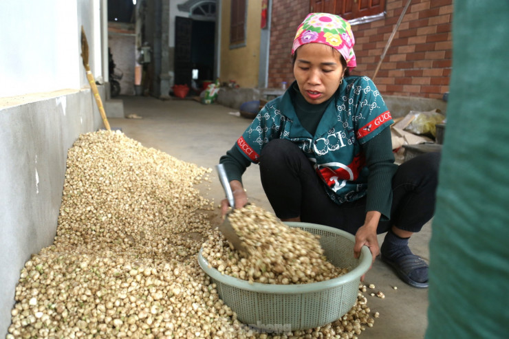 Ông Lê Thanh Hải, Chủ tịch UBND xã Nghi Thuận cho biết: “Hành tăm là một trong những cây trồng chủ lực ở địa phương. Toàn xã có diện tích trồng hành khoảng 75 ha, cho năng suất trung bình 6 tấn/ha. Thời gian qua, chính quyền địa phương đã hỗ trợ người dân xây dựng thương hiệu hành tăm theo tiêu chuẩn Vietgap. Sắp tới, song song với việc xây dựng nông thôn mới nâng cao, xã sẽ phát triển hành tăm, đăng kí sản phẩm OCOP. Tương lai có thể dán tem xuất nguồn gốc, chỉ đạo HTX liên kết hợp tác với một số đơn vị thu mua, bao tiêu sản phẩm”.