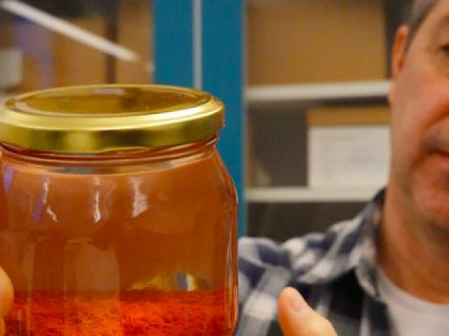 Thế giới - Phát hiện phi thường dưới xác con tàu đắm của vua Đan Mạch