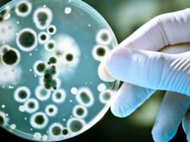 Thế giới - Trí tuệ nhân tạo tìm ra thuốc kháng sinh “kỳ diệu” chưa từng có