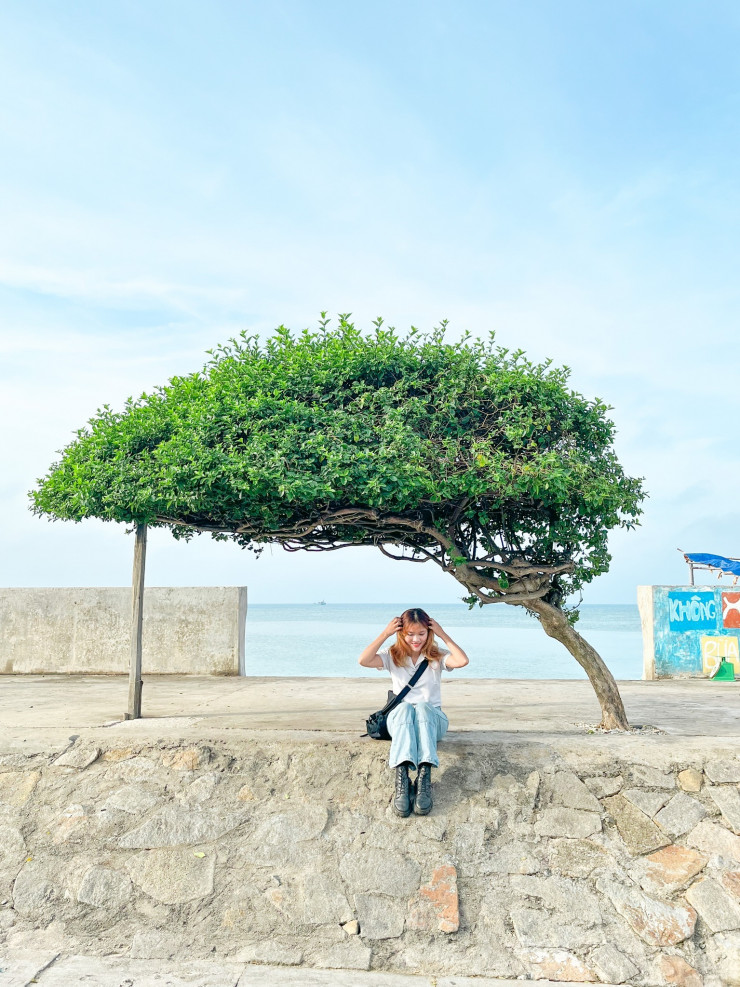 Chụp ảnh bên cây cô đơn.