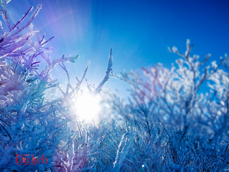 Đỉnh núi này còn được mệnh danh là Alps của Hàn Quốc khi vào mùa đông, vạn vật – cỏ cây đều bao phủ bởi lớp băng tuyết dày đặc. 