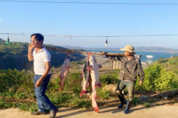 Tin tức trong ngày - Câu được cá lăng đuôi đỏ khủng dài hơn 1,5 mét