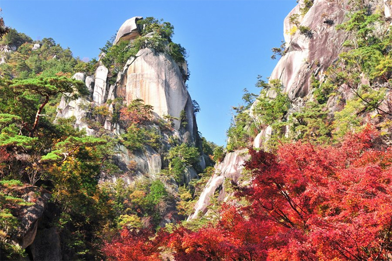 Dễ dàng hơn khi du lịch Nhật Bản - 5