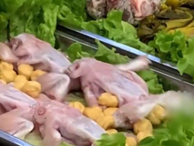 Phi thường - kỳ quặc - Ếch đã chế biến vẫn bật nhảy tanh tách trên bàn ăn khiến thực khách hú hồn