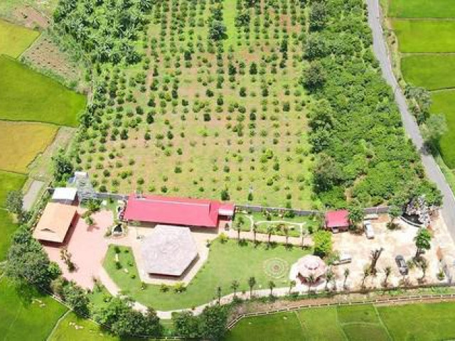 Tin tức trong ngày - Gia Lai: Đình chỉ vụ án chủ "biệt phủ" kiện chủ tịch TP Pleiku