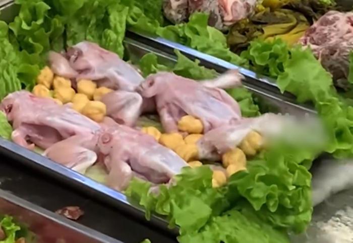 Những con ếch vẫn cử động dù đã bị chế biến. Ảnh cắt từ clip