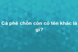 Giáo dục - du học - Loay hoay cả buổi mới trả lời đúng hết bộ câu hỏi đầy thử thách này