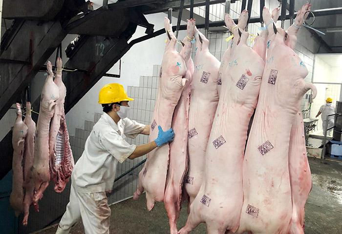 Giá lợn hơi giảm và duy trì ở mức thấp chủ yếu do ảnh hưởng của lạm phát dẫn đến nhu cầu tiêu dùng thấp.