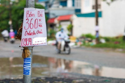Kinh doanh - Doanh nghiệp bất động sản co cụm, nhân viên chán nản vì nhiều tháng bị nợ lương